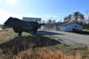 1023 State Hwy 746 photo